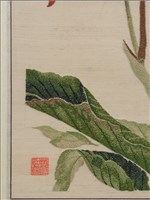 蓮蕉花藏品圖，第6張