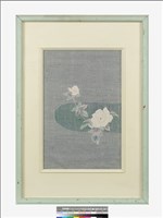薔薇藏品圖，第2張