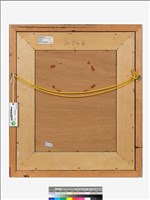 菊藏品圖，第3張