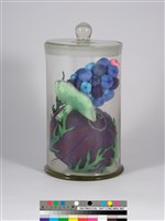 偏方-扛板歸＋土黨蔘藏品圖，第3張