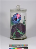 偏方-扛板歸＋土黨蔘藏品圖，第4張