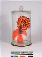 偏方-構樹＋月桃藏品圖，第2張