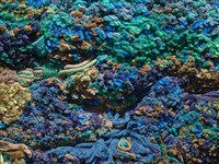 內在森林 藏品圖，第6張