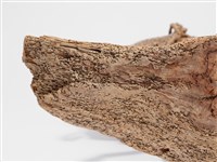 抬船-1藏品圖，第9張