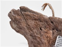 抬船-2藏品圖，第7張