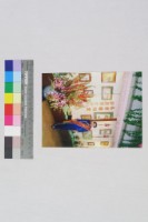 2000千禧年旗袍文化公益親善大使照片的圖片