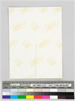 2000千禧年旗袍文化公益親善大使照片藏品圖，第3張