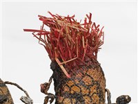 龍藏品圖，第21張