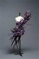 祝福女神的圖片