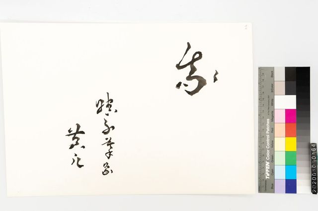 我的圖片