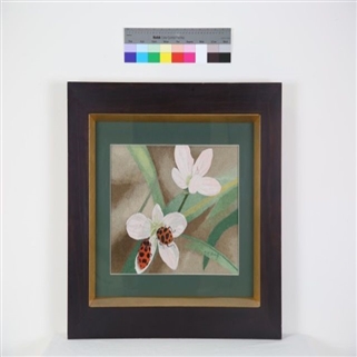 貴州貴定苗族女盛裝