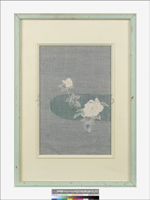 薔薇藏品圖，第2張