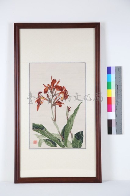 蓮蕉花藏品圖，第1張