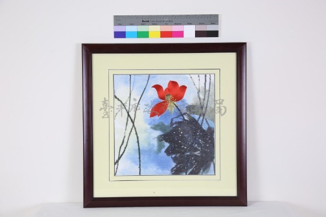 荷花藏品圖，第1張