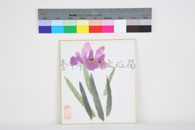 繪鳶尾藏品圖，第1張