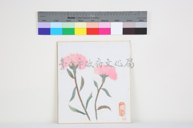 繪康乃馨藏品圖，第1張