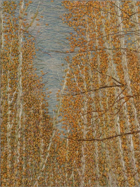 阿里山一景 藏品圖，第5張