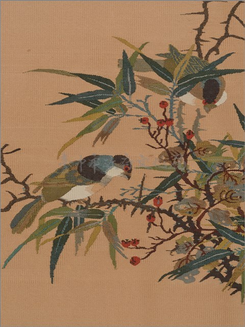 竹棘雙禽藏品圖，第5張