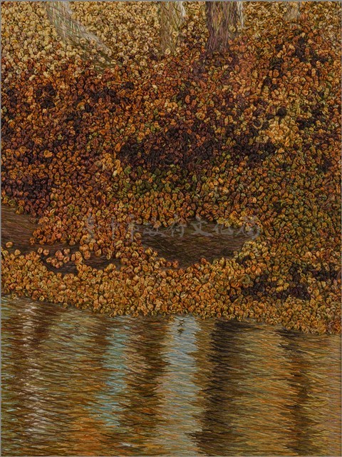 阿里山一景 藏品圖，第6張