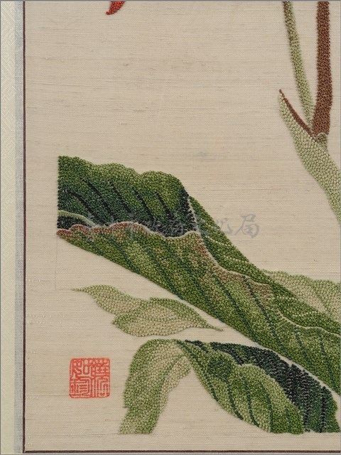 蓮蕉花藏品圖，第6張