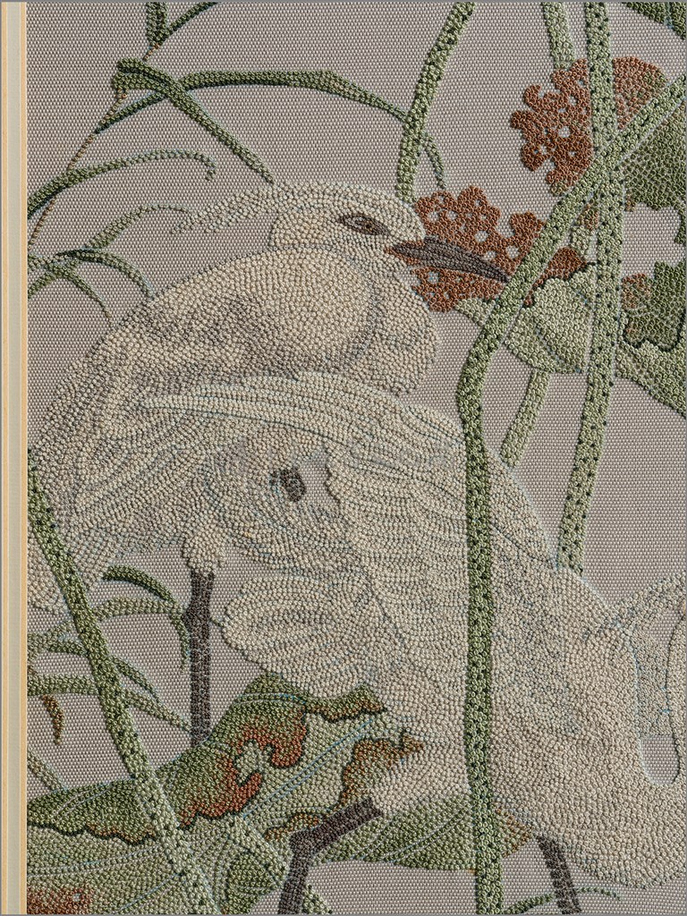 大圖瀏覽