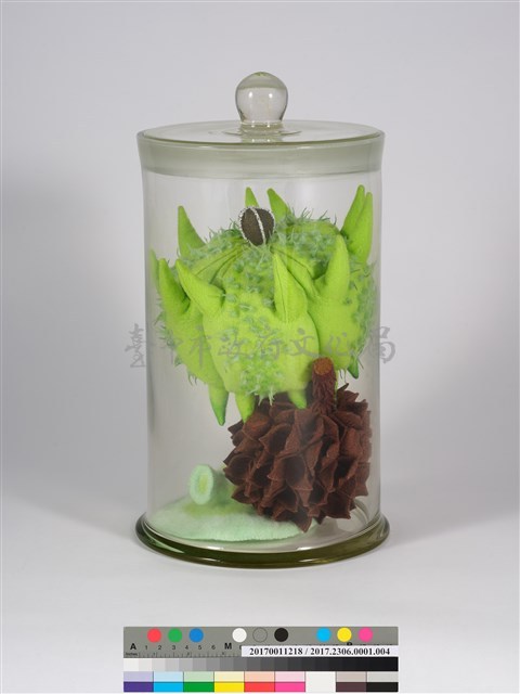 偏方-蒺藜＋木麻黃＋臺灣敗醬藏品圖，第2張
