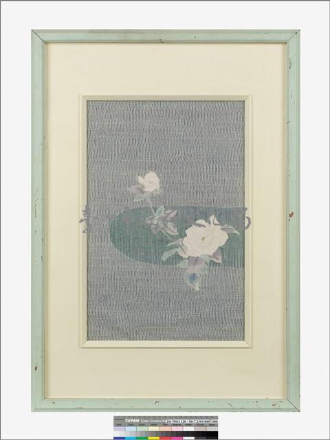 薔薇藏品圖，第2張