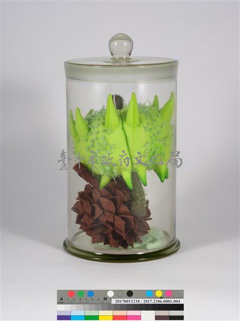 偏方-蒺藜＋木麻黃＋臺灣敗醬藏品圖，第3張