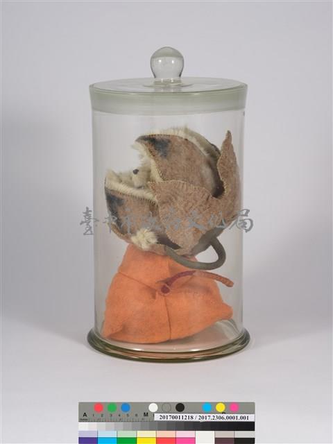 偏方-山芙蓉＋倒地鈴藏品圖，第3張