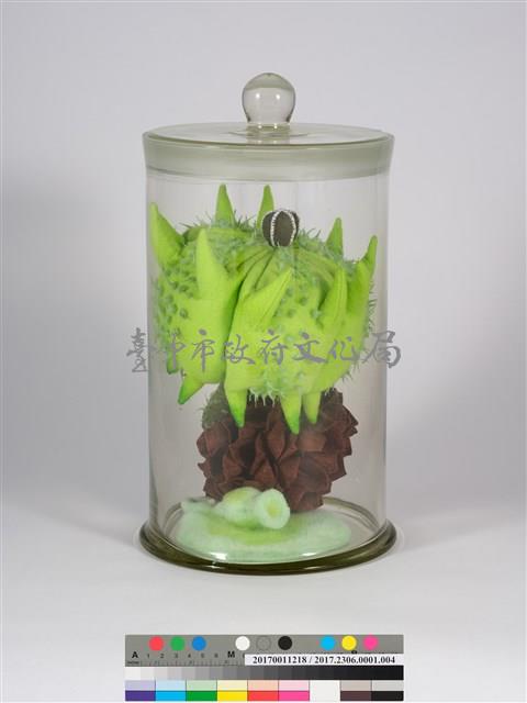 偏方-蒺藜＋木麻黃＋臺灣敗醬藏品圖，第1張