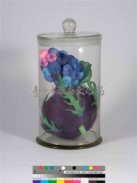 偏方-扛板歸＋土黨蔘藏品圖，第1張