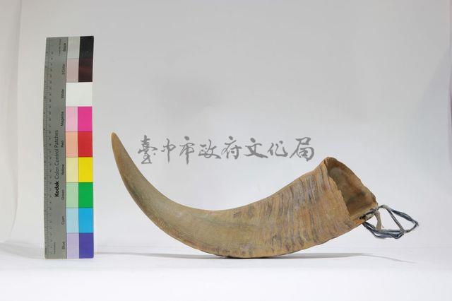 水牛角藏品圖，第1張