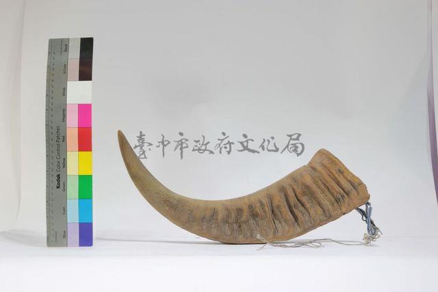 水牛角藏品圖，第1張