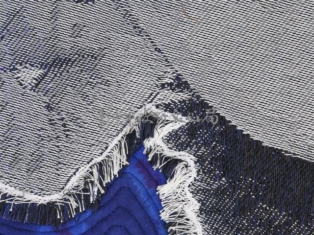 游玉萍作品「帶原者」藏品圖，第5張