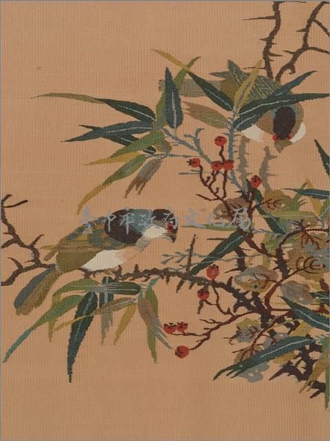 竹棘雙禽藏品圖，第5張