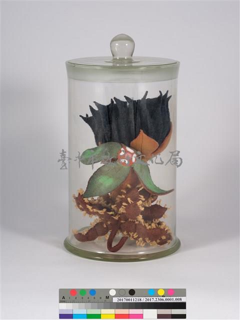 偏方-磨盤＋水丁香＋含羞藏品圖，第2張