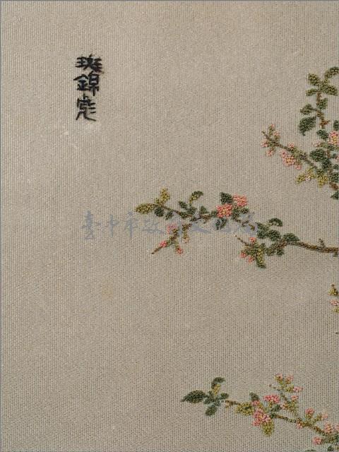 斑錦彪藏品圖，第7張