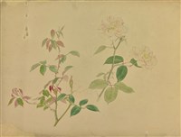 薔薇  藏品圖，第1張