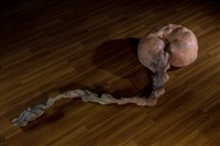 未定，形成藏品圖，第1張