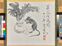 菜頭鼠藏品圖，第1張