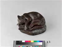 睡貓藏品圖，第1張