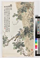 愛玉白頭藏品圖，第1張