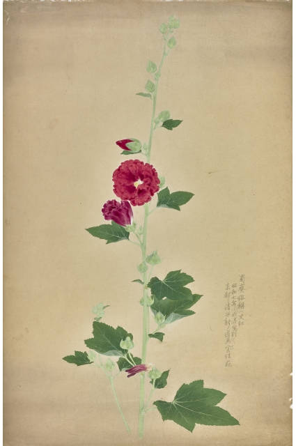 首頁輪播，第2張，共5張
