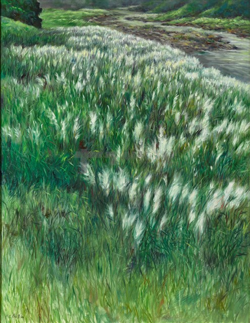 八掌溪的芒花藏品圖，第1張