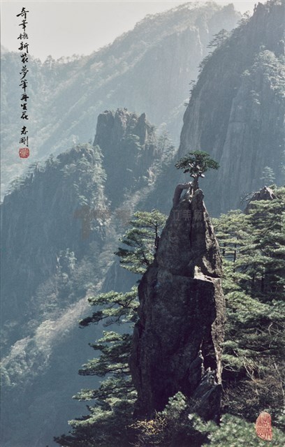 奇峰換新裝藏品圖，第1張