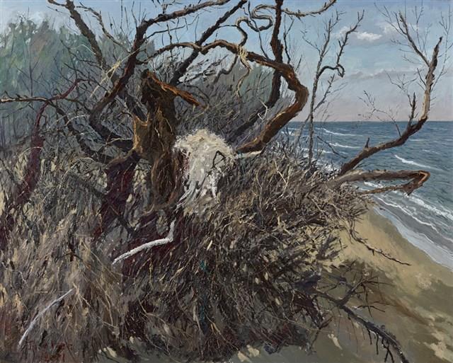 無言的吶喊藏品圖，第1張