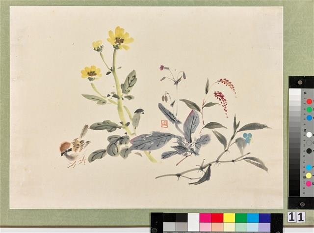 麻雀野蔬藏品圖，第1張