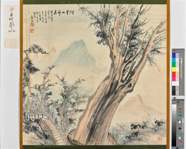 阿里山神木藏品圖，第1張