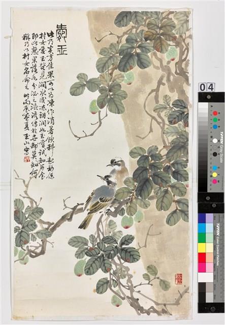 愛玉白頭藏品圖，第1張