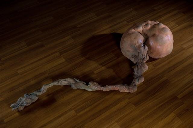 未定，形成藏品圖，第1張